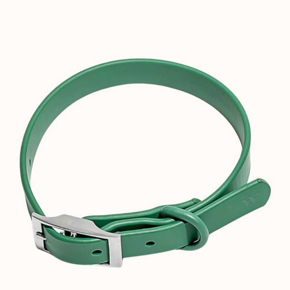 Wild One Green Spruce Dog Collar - Size Large